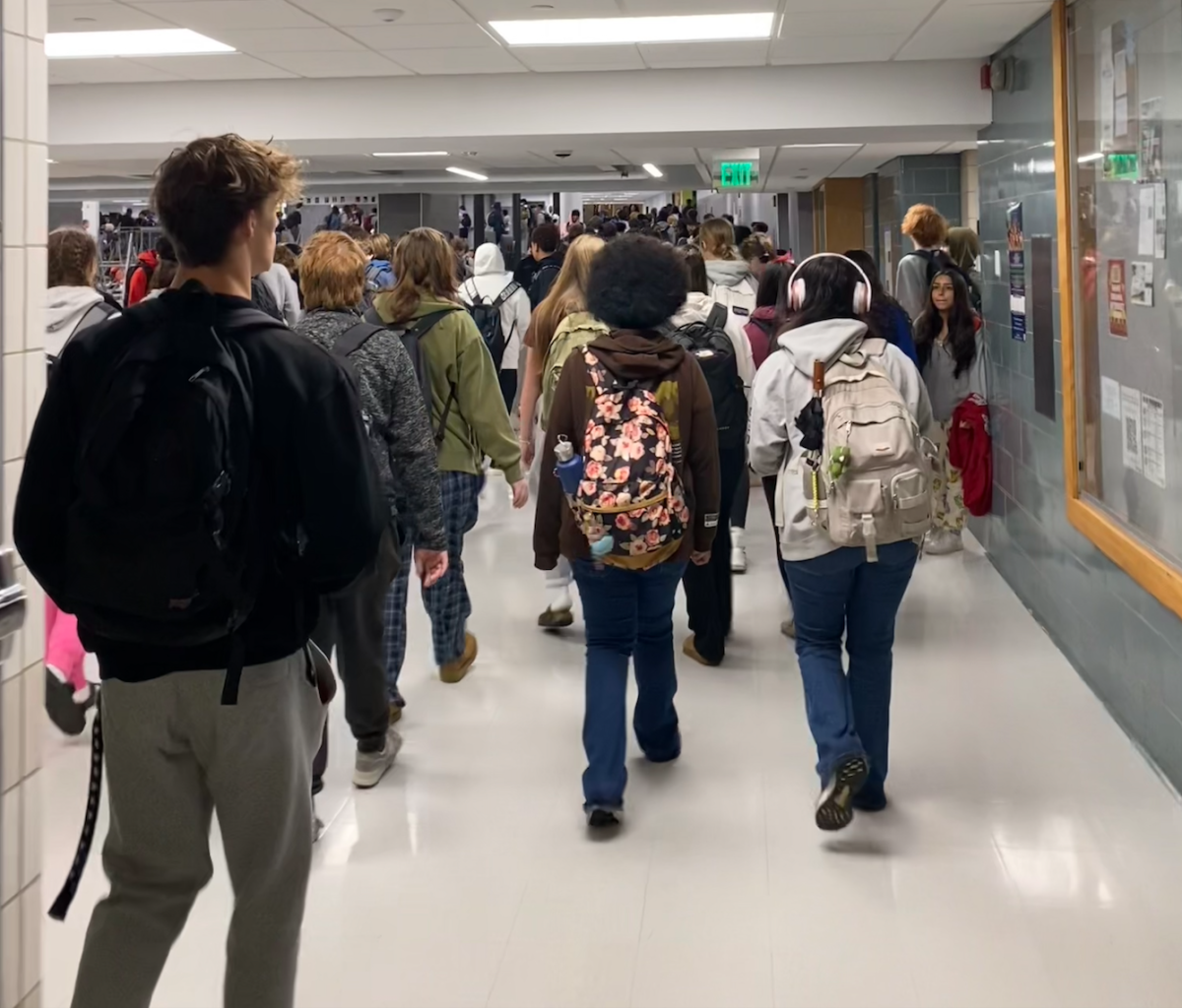 Recent Incidents Involving Guns Leave Students Feeling Unsettled